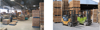 Pallets Move The World
